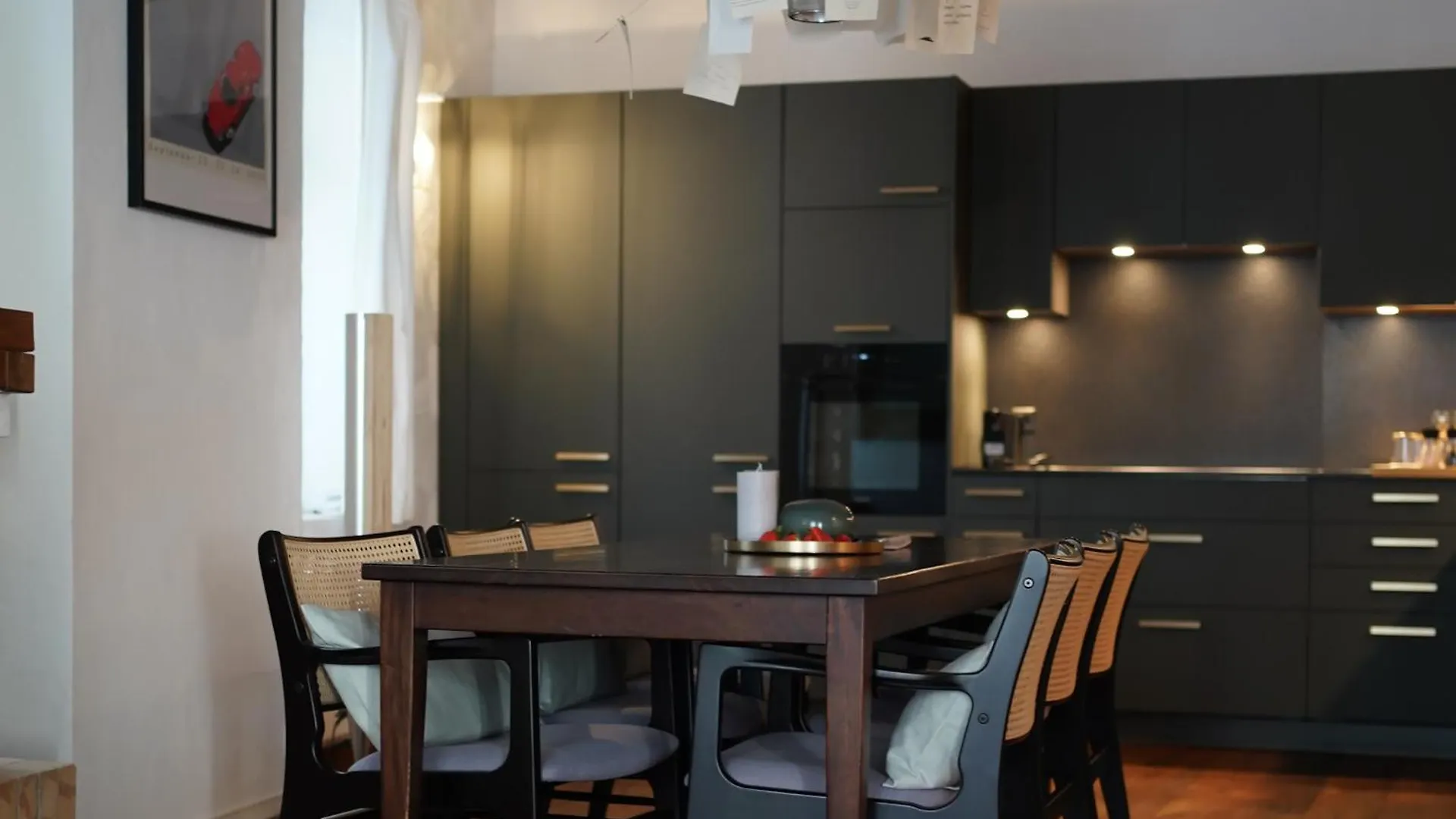 Rooftop Historical Apartment Zurich