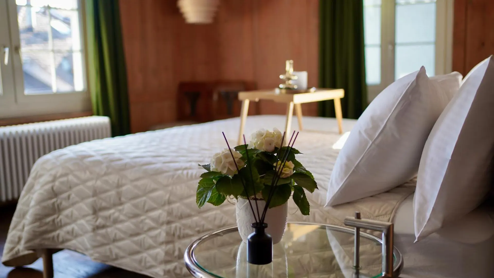 Rooftop Historical Apartment Zurich 0*,